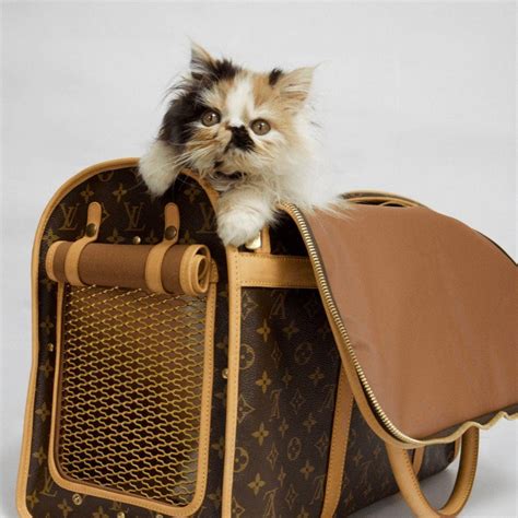 authentic Louis Vuitton pet carrier